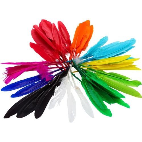 Plumes décoratives - Couleurs assorties Folia 55119 - 2