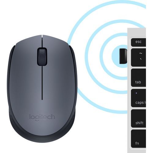 Souris sans fil Logitech M170 - 2