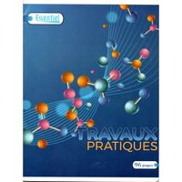 Cahier ESSENTIEL TP 96p piqué A5 60g Grand Carreaux