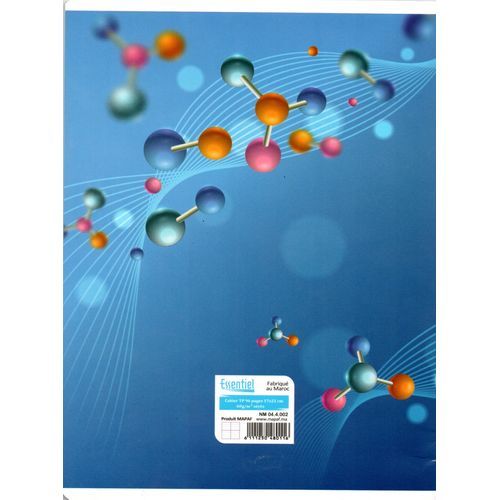 Cahier ESSENTIEL TP 96p piqué A5 60g Grand Carreaux - 2