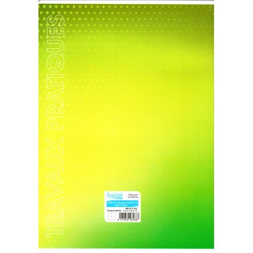 Cahier ESSENTIEL TP 144p piqué Grand Format 60g Grand Carreaux - 2