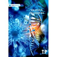 Cahier Bleu MARINE TP 192p piqué A4 60g Grand Carreaux