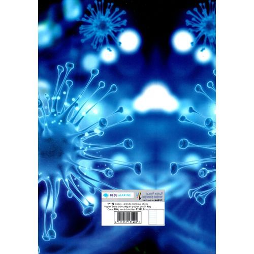 Cahier Bleu MARINE TP 192p piqué A4 60g Grand Carreaux - 2