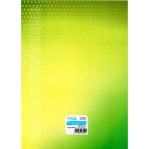 Cahier ESSENTIEL TP 192p piqué Grand Format 60g Grand Carreaux - 2