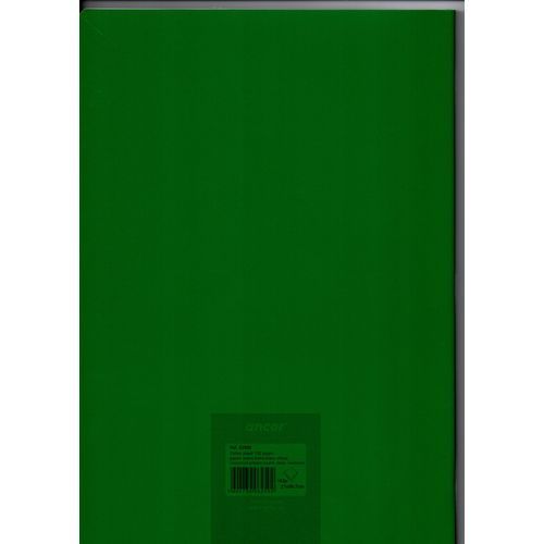 Cahier ancor 96p piqué Grand Format 90g Grand Carreaux - Vert - 2