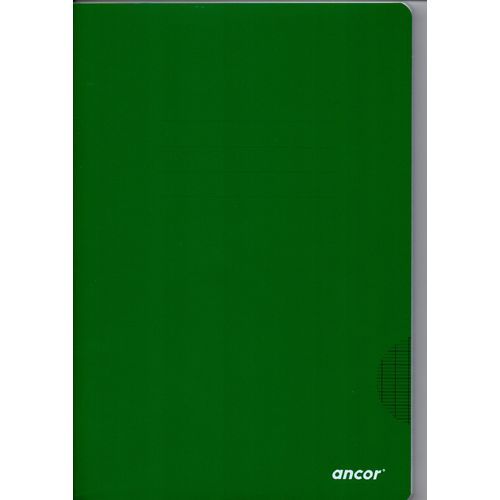 Cahier ancor 96p piqué Grand Format 90g Grand Carreaux - Vert - 3