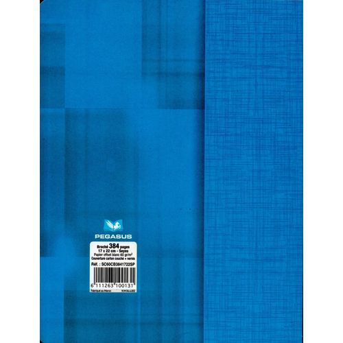 Cahier PEGASUS 384p broché A5 60g Grand Carreaux - 3