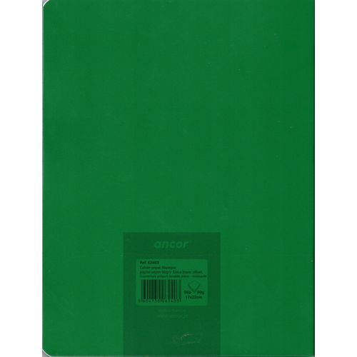 Cahier ancor 96p piqué A5 90g Grand Carreaux- vert - 3