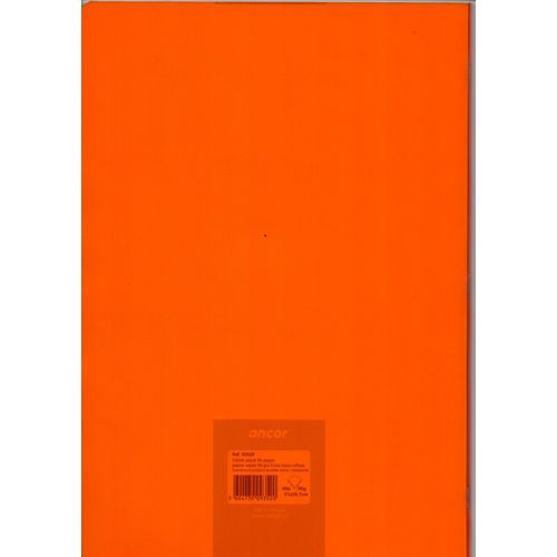 Cahier ancor 96p piqué Grand Format 90g Grand Carreaux - orange - 2