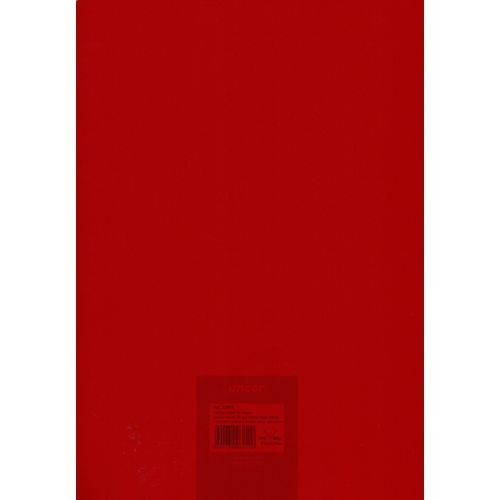 Cahier ancor 96p piqué Grand Format 90g Grand Carreaux - Marron - 2