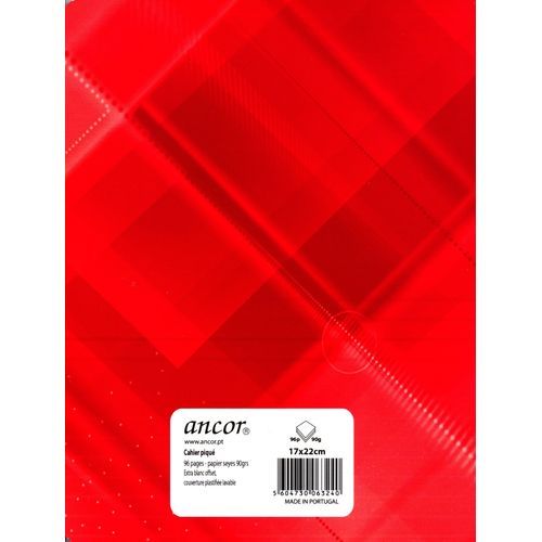 Cahier ancor 96p piqué A5 90g Grand Carreaux - 2