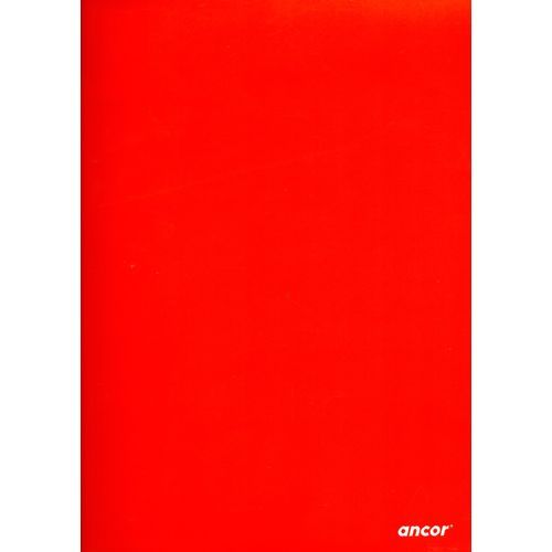 Cahier ancor 140p piqué 24x32 90g Grand Carreaux - 3