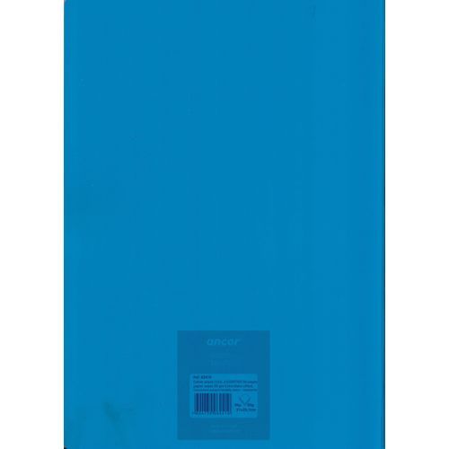 Cahier ancor 96p piqué Grand Format 90g Grand Carreaux - Bleu - 2