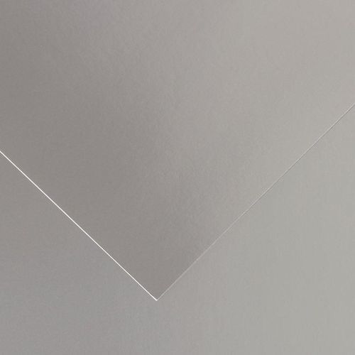Papier Canson 1 Feuille Argentée 50x65 280g