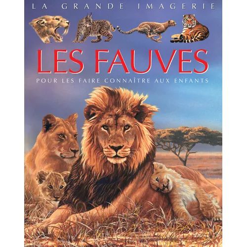 La grande imagerie les fauves - 2