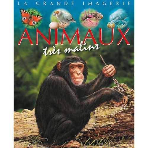 La grande imagerie : Animaux très malins - 3
