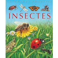 La grande imagerie : Les Insectes
