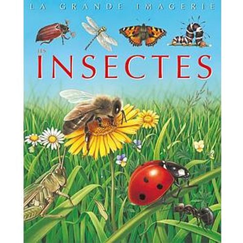 La grande imagerie : Les Insectes - 3